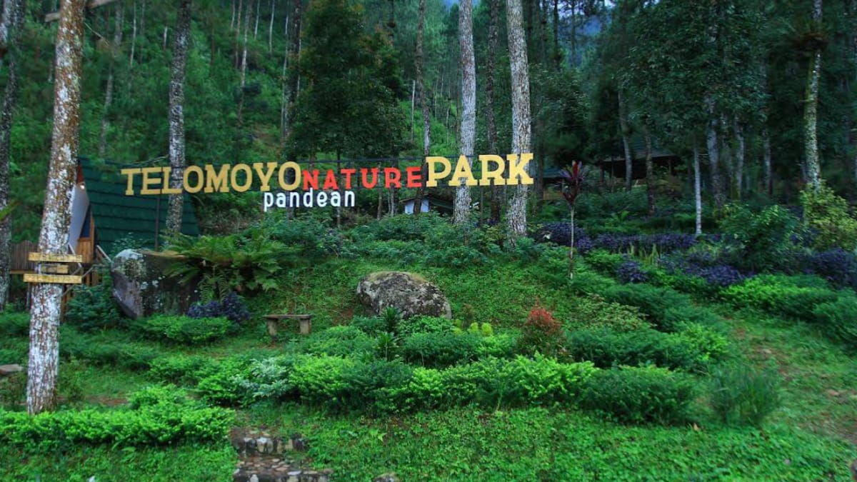 Telomoyo Nature Park: Surga Alam di Lereng Gunung Telomoyo